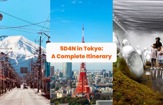 tokyo japan itinerary guide