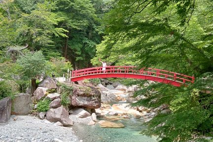 Magome-juku & Ryujin Falls / Magome-juku & Senjojiki Cirqueday Tour